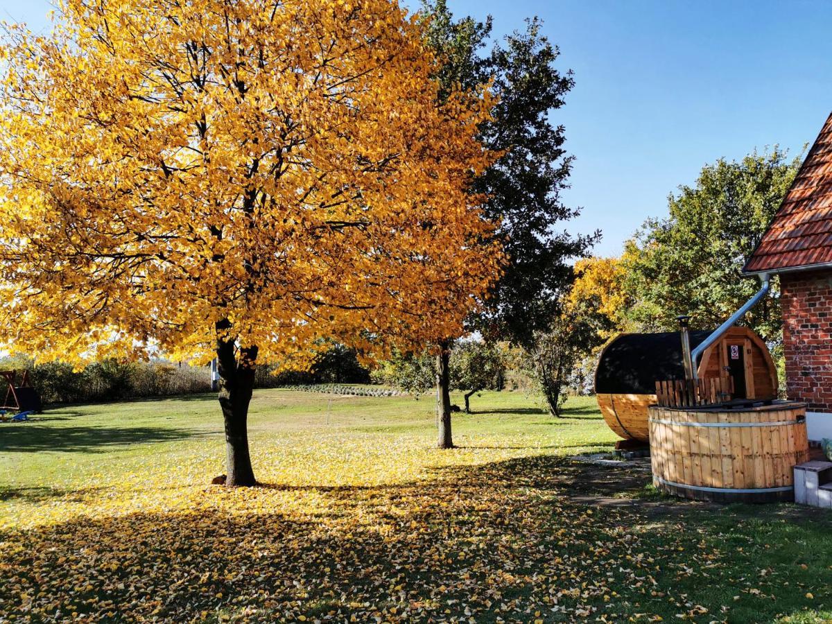 Agroturystyka Ginkgo Sulislaw  Esterno foto